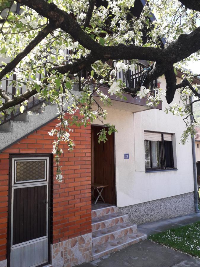 Rakic Apartman Bajina Basta Εξωτερικό φωτογραφία
